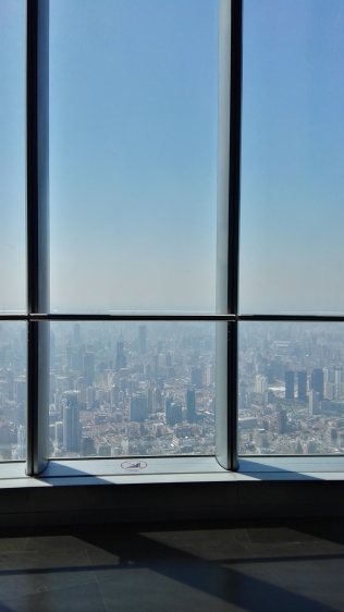 Der Blick vom Shanghai Tower (2)